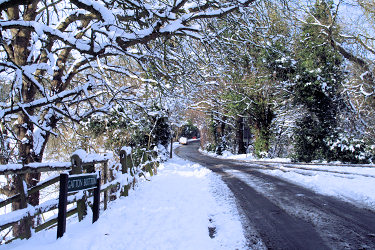 Gatton Bottom